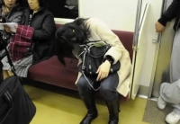Sleeping On The Subway 17